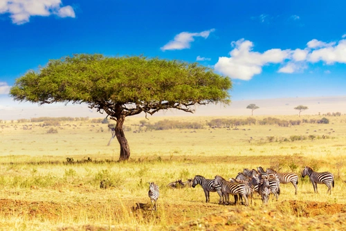 Kenya